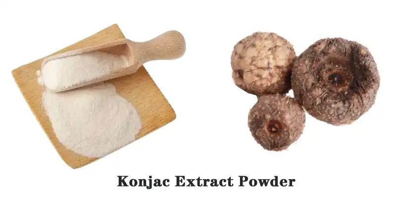 Konjac Extract .jpg